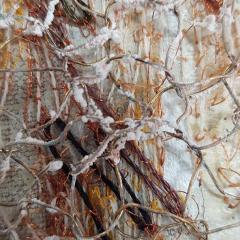Bedsprings Walk. -Gallery