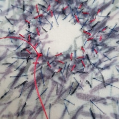 Dandelion Clock - Gallery