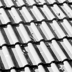 Garage Roof- Inspiration