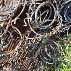 Rusty Bedsprings- Inspiration