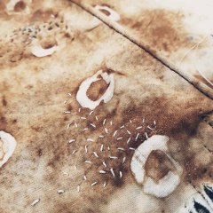 Circles