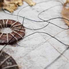 Circles