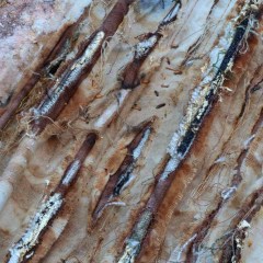 Rust Dyed Art - Gallery