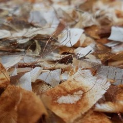 Rust Dyed Art - Gallery
