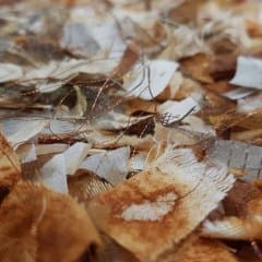 Rust Dyed Art - Gallery