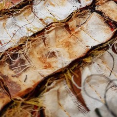 Rust Dyed Art - Gallery