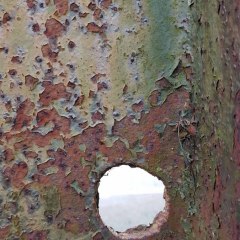 Rust Dyed Art - Inspiration